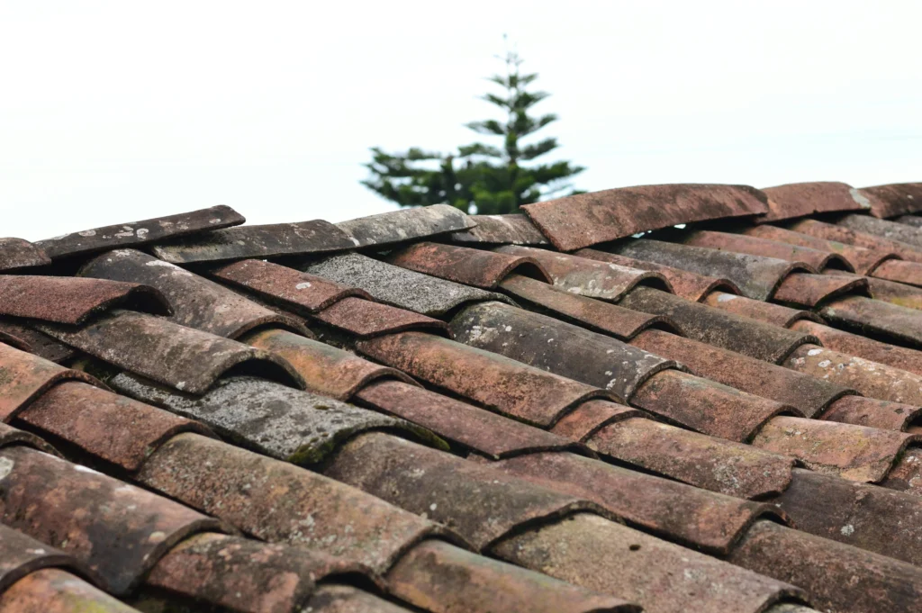 Weathered clay roof tiles with visible staining and a few lifted tiles along the ridge.